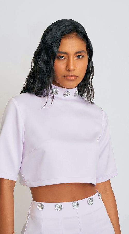 Blusa Zinco Gola Redonda Manga Curta Bordada Lilas